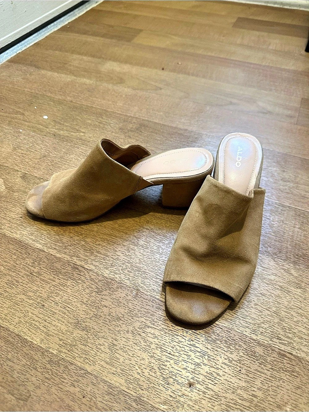 ALDO Open Toe Block Heel Mules in Brown
